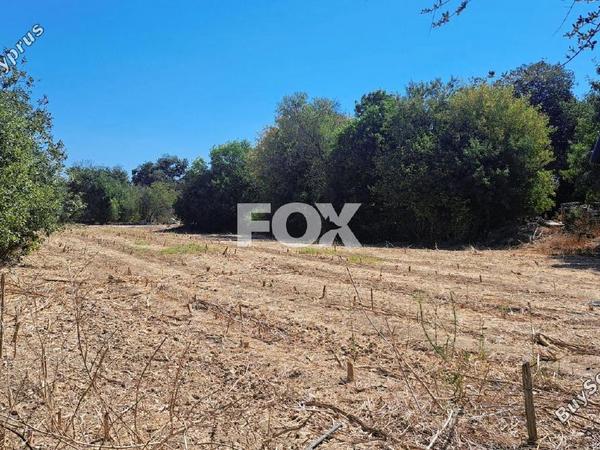 land for sale polemi paphos 1158759 image 5503074
