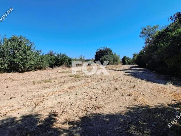 land for sale polemi paphos 1158759 image 5503076