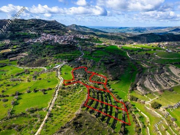 plot for sale dora limassol 1650759 image 5676502