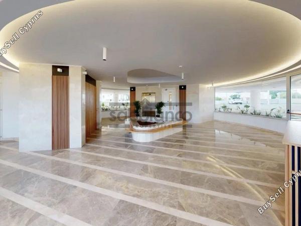 2 bedroom apartment for rent larnaca municipality larnaca 8739859 image 16375711