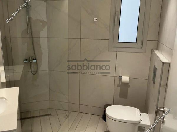 2 bedroom apartment for rent larnaca municipality larnaca 8739859 image 16375714