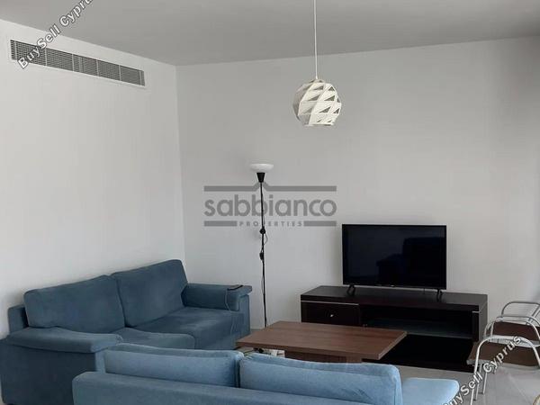 2 bedroom apartment for rent larnaca municipality larnaca 8739859 image 16375720