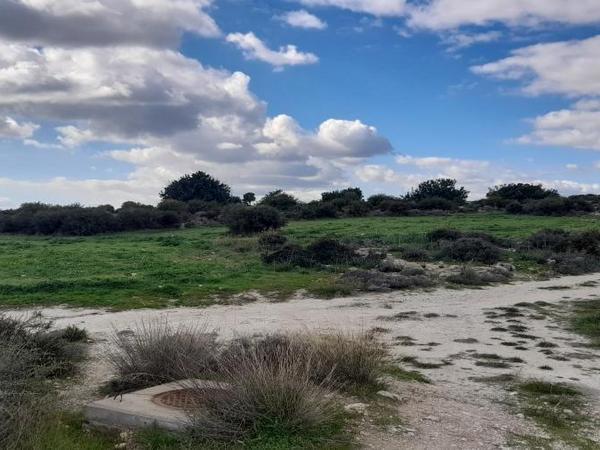 land for sale choirokoitia larnaca 1060859 image 16187969
