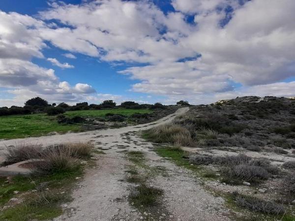 land for sale choirokoitia larnaca 1060859 image 16187970