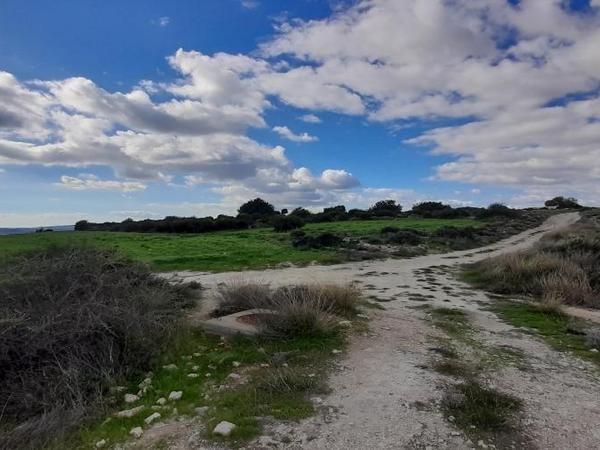 land for sale choirokoitia larnaca 1060859 image 16187972