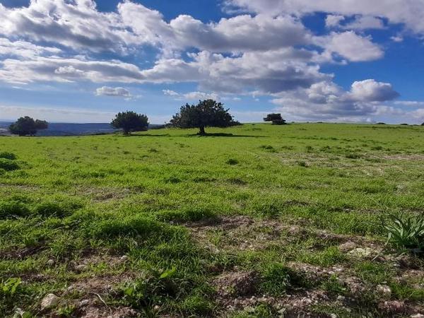 land for sale choirokoitia larnaca 1060859 image 16187976