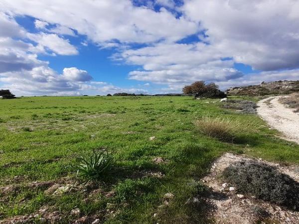 land for sale choirokoitia larnaca 1060859 image 16187978