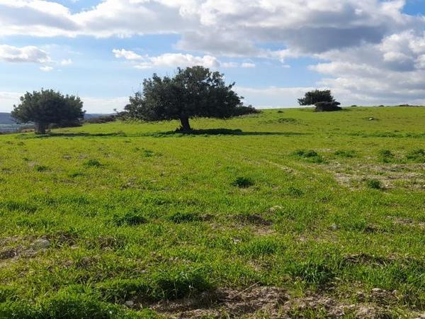 land for sale choirokoitia larnaca 1060859 image 16187981