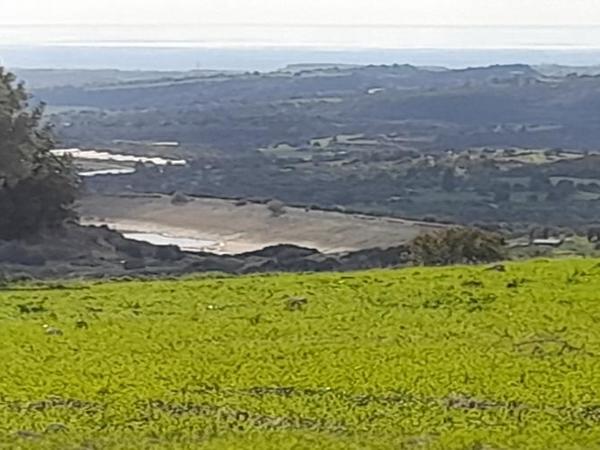 land for sale choirokoitia larnaca 1060859 image 16801087