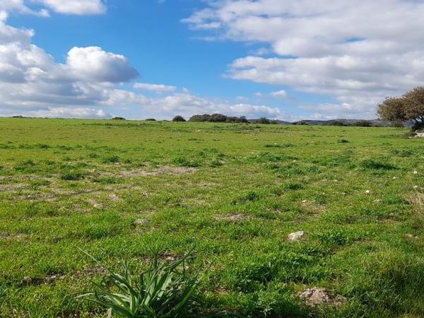 land for sale choirokoitia larnaca 1060859 image 16801090