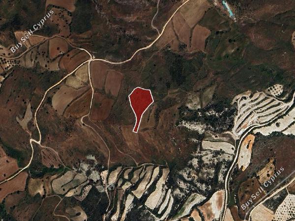 land for sale ineia paphos 1800859 image 15597813