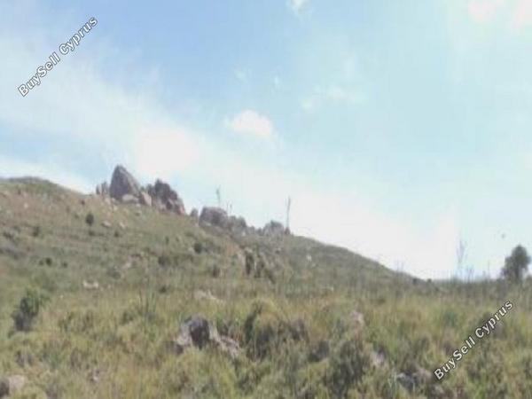 land for sale ineia paphos 1800859 image 15597814