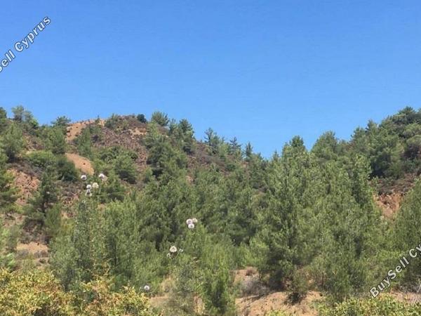 land for sale kato platres limassol 828859 image 11081626