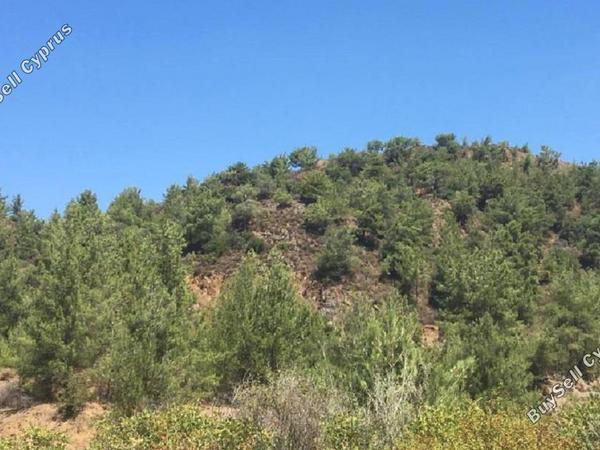 land for sale kato platres limassol 828859 image 11081627