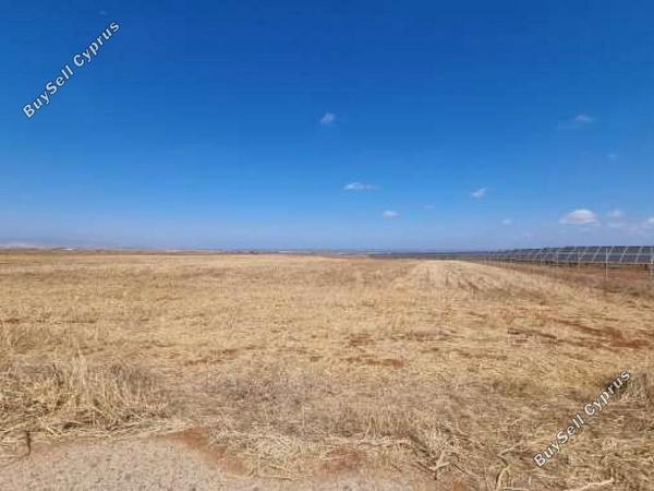 land for sale peristerona lefkosias nicosia 1262859 image 5926821
