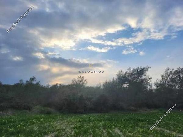 land for sale tochni larnaca 1625859 image 5707506