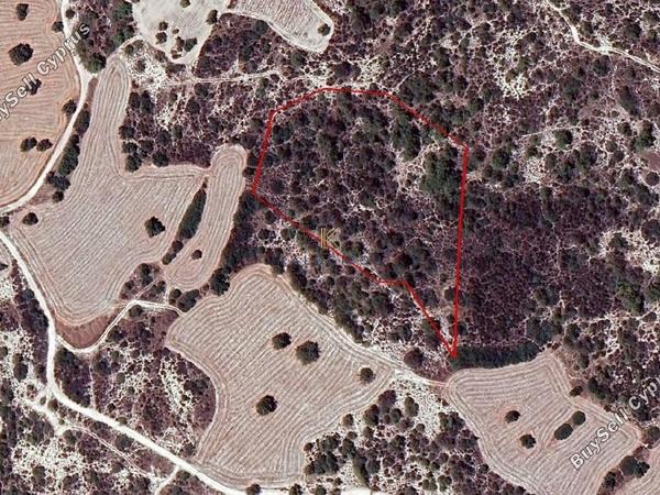 land for sale tochni larnaca 1625859 image 5707507
