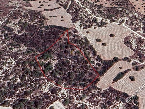 land for sale tochni larnaca 1625859 image 5707509