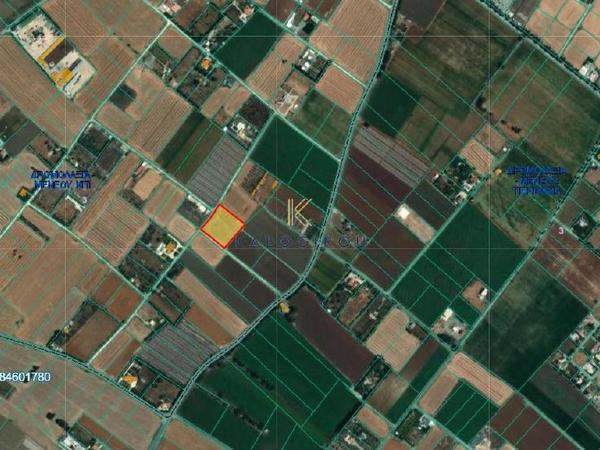 land for sale kiti larnaca 8376959 image 14642600