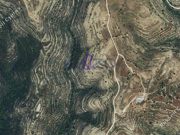 land for sale lofou limassol 8381959 image 15880849