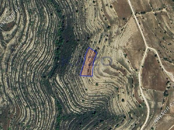 land for sale lofou limassol 8381959 image 15880850