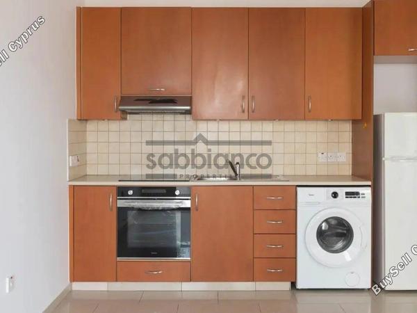 1 bedroom apartment for rent lykavitos nicosia 8749069 image 16471590