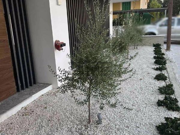 2 bedroom apartment for sale nicosia municipality nicosia 8738069 image 16359018