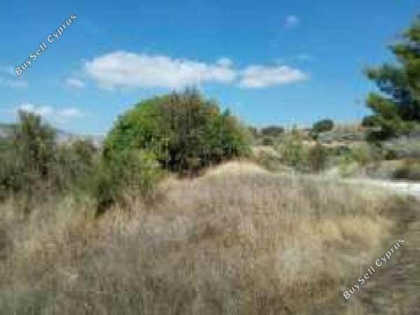 land for sale dora limassol 7806069 image 15596380