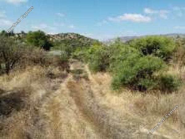 land for sale dora limassol 7806069 image 15596381