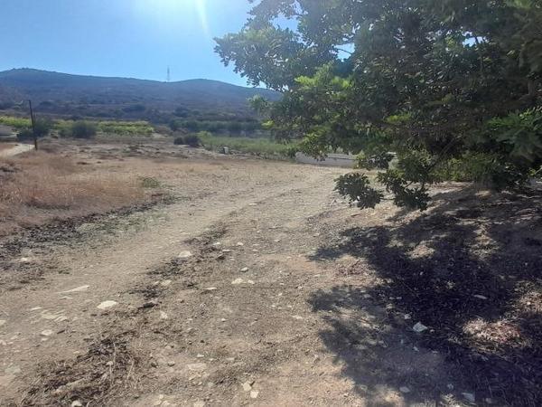 land for sale kalavasos larnaca 1180069 image 16188087