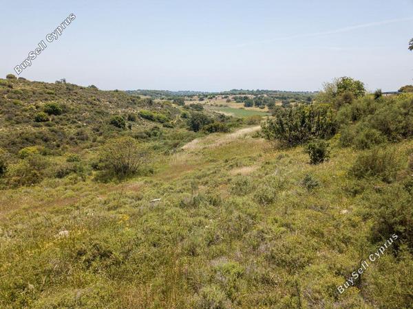 land for sale pachna limassol 946069 image 15602932