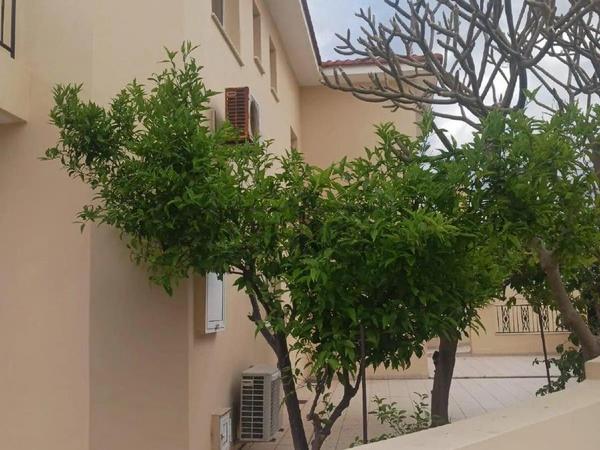 3 bedroom detached house sold oroklini larnaca 8739269 image 16553654