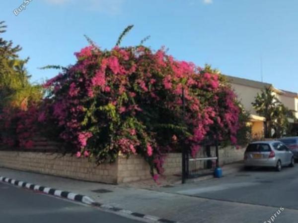 4 bedroom bungalow for sale parekklisia limassol 8376269 image 15664826