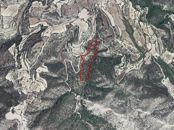 land for sale amargeti paphos 828269 image 15178949