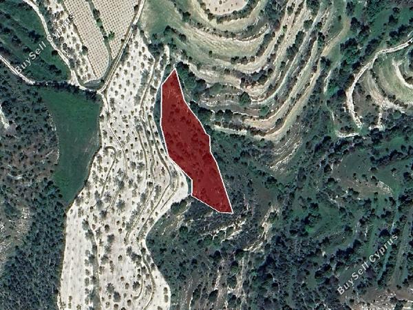 land for sale kallepeia paphos 1336269 image 15598742