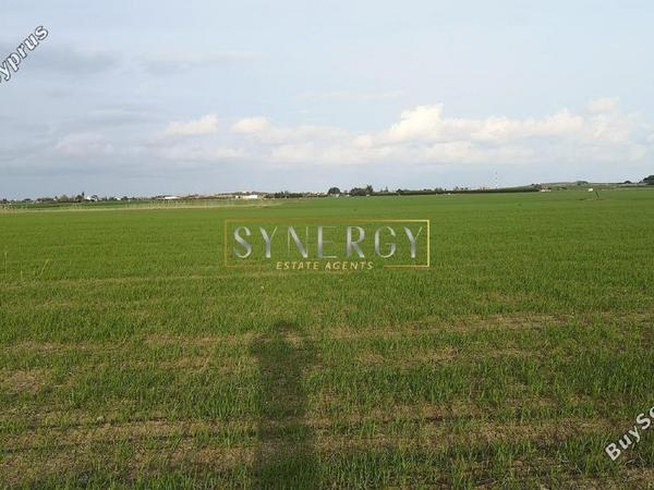 land for sale pervolia larnaca 8026269 image 16772465