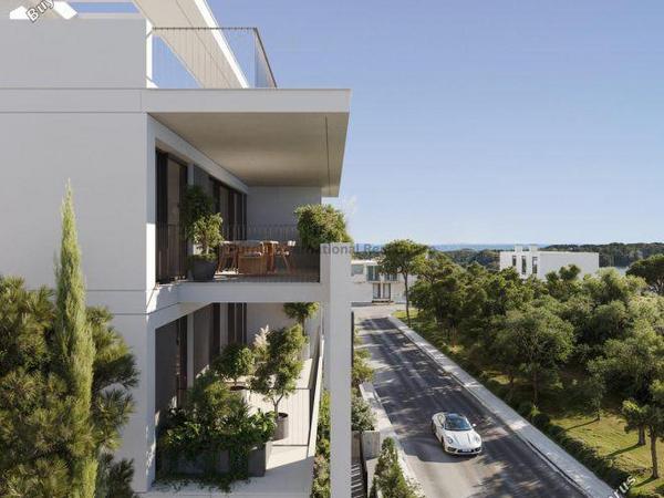 studio apartment for sale zakaki limassol 7966269 image 15356491