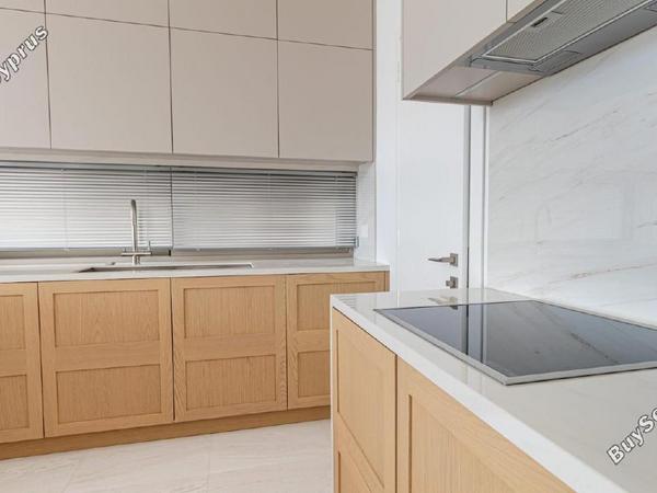 3 bedroom detached house for sale kissonerga paphos 8758369 image 16517170