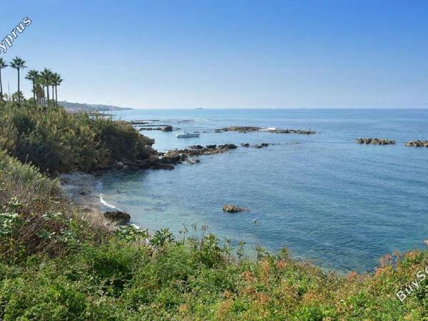3 bedroom detached house for sale kissonerga paphos 8758369 image 16517174