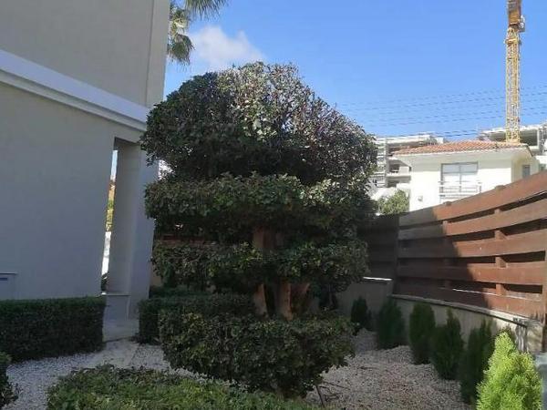 5 bedroom detached house for sale potamos germasogeias limassol 1603369 image 6997969