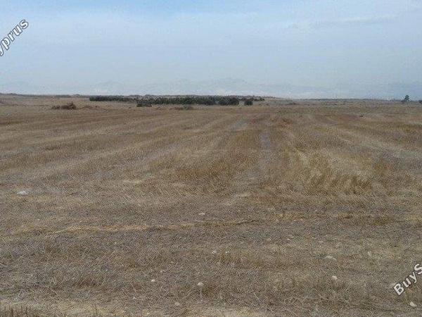 land for sale geri nicosia 1680369 image 15502787