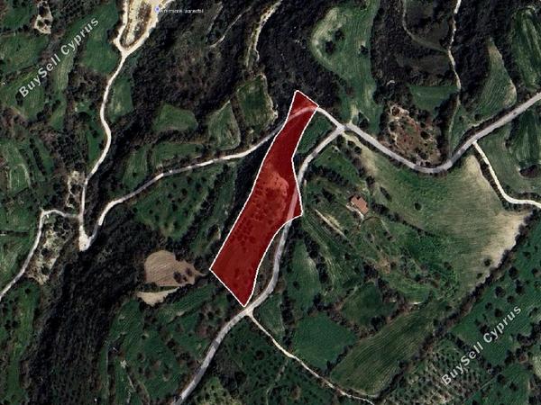 land for sale kritou tera paphos 7839369 image 15596573