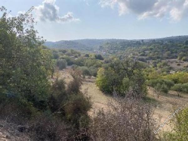 land for sale kritou tera paphos 7839369 image 17922596