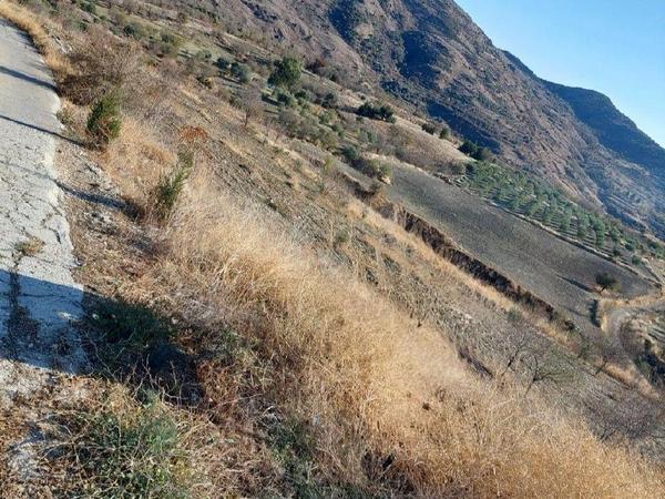 land sold episkopi pafou paphos 1901369 image 7272800