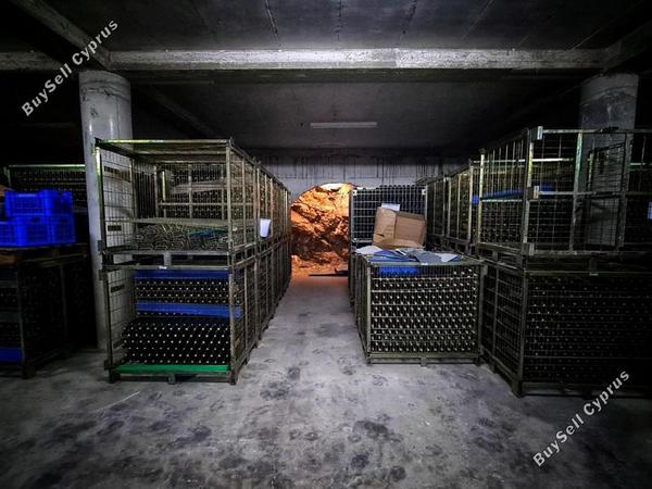 studio commercial building for sale salamiou paphos 1765369 image 4873563