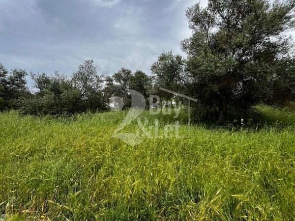 plot for sale kornos larnaca 8571469 image 17248092