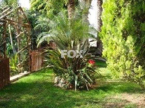 4 bedroom detached house for sale agios spyridonas limassol 1158569 image 5490700