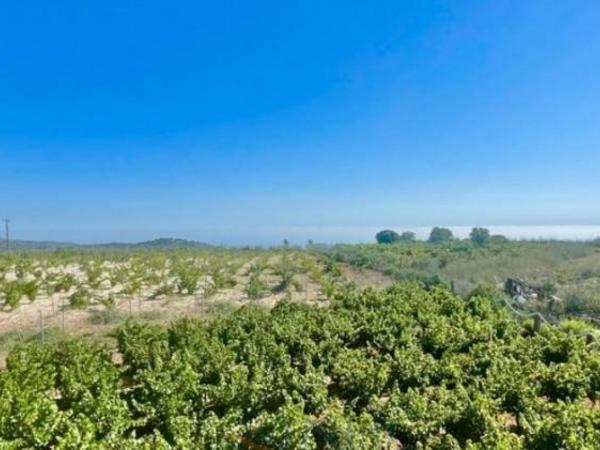 4 bedroom detached house for sale kathikas paphos 7738569 image 10204148