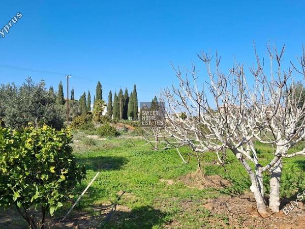 5 bedroom detached house for sale ayia napa famagusta 1668569 image 13486598