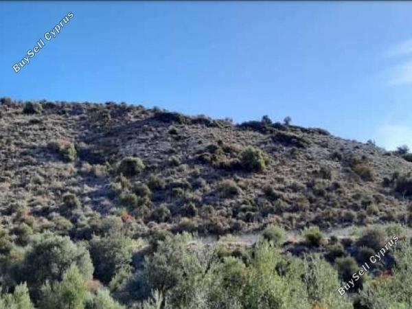 land for sale kalavasos larnaca 8726569 image 16332299